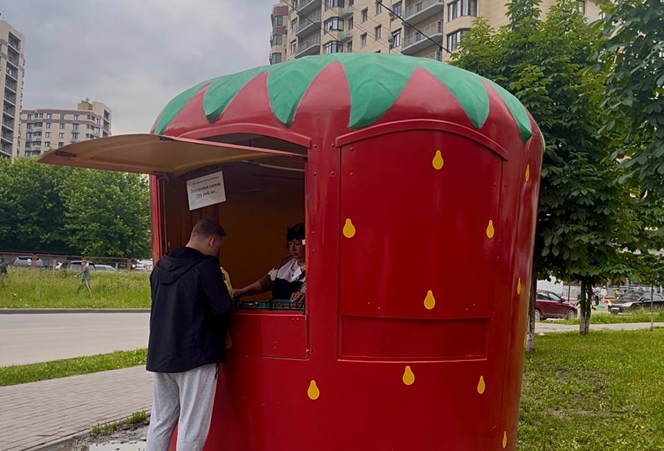 Клубнику ниже рыночной стоимости можно будет купить на «Празднике урожая» в Ленинском округе