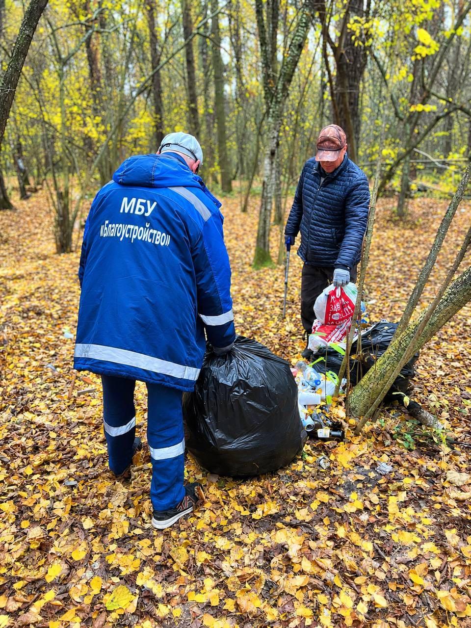 В Ленинском округе провели субботник в лесном массиве по просьбам жителей