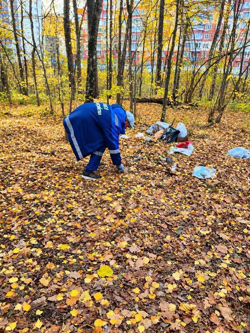 В Ленинском округе провели субботник в лесном массиве по просьбам жителей