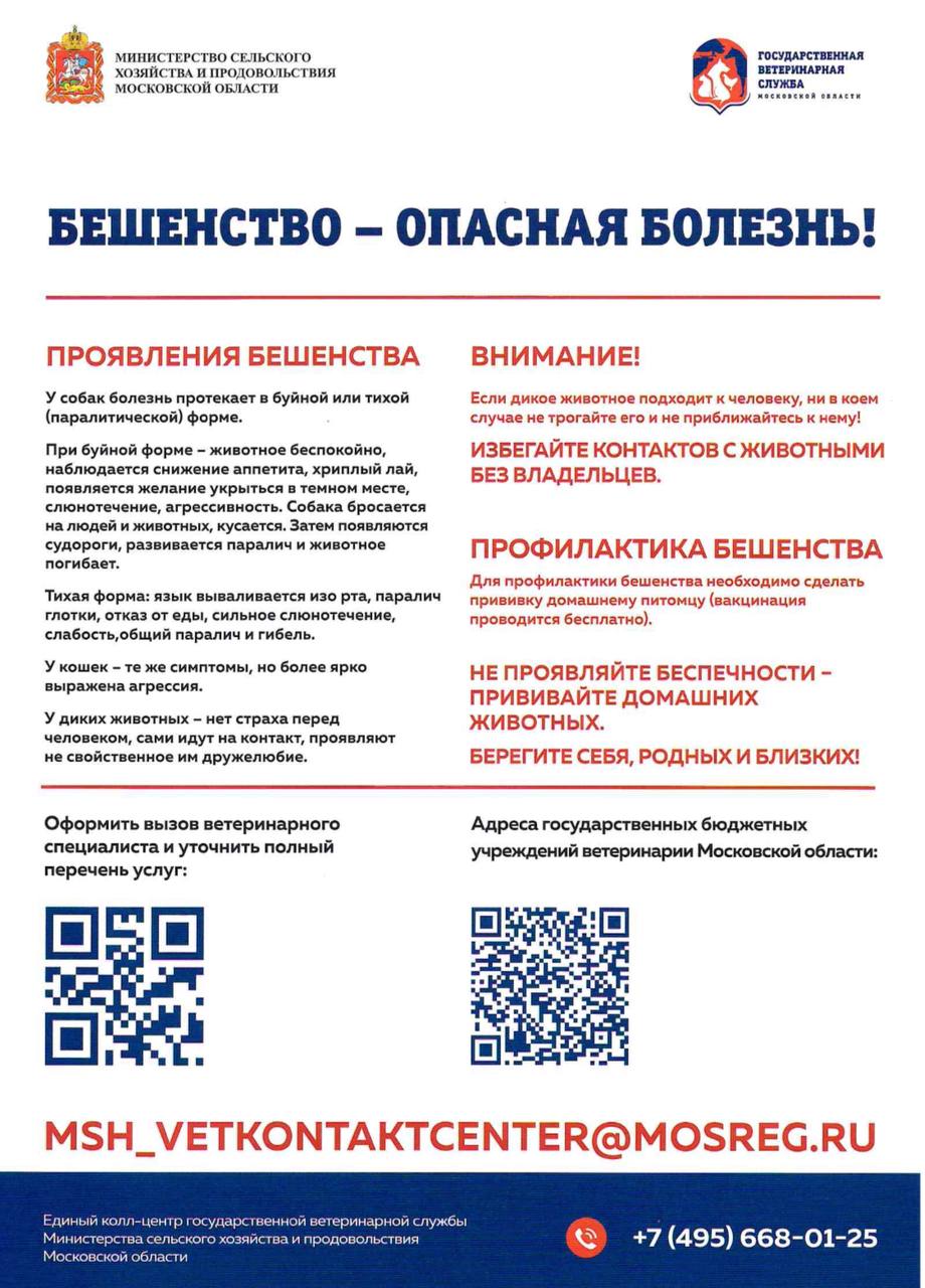 Месячник по профилактике бешенства среди людей и животных стартовал в Московской области