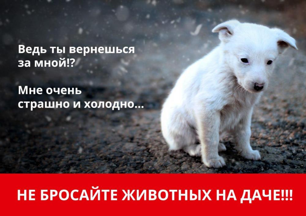 Информационные материалы