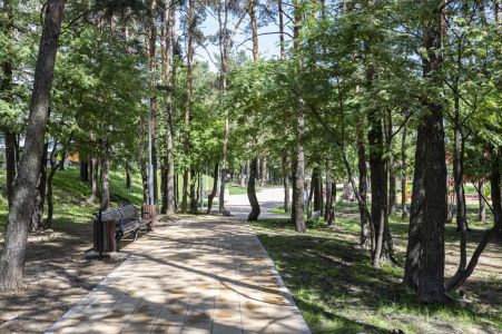 Парк «Сосенки» в Видном будет расширен в рамках федерального проекта «Формирование комфортной городской среды»