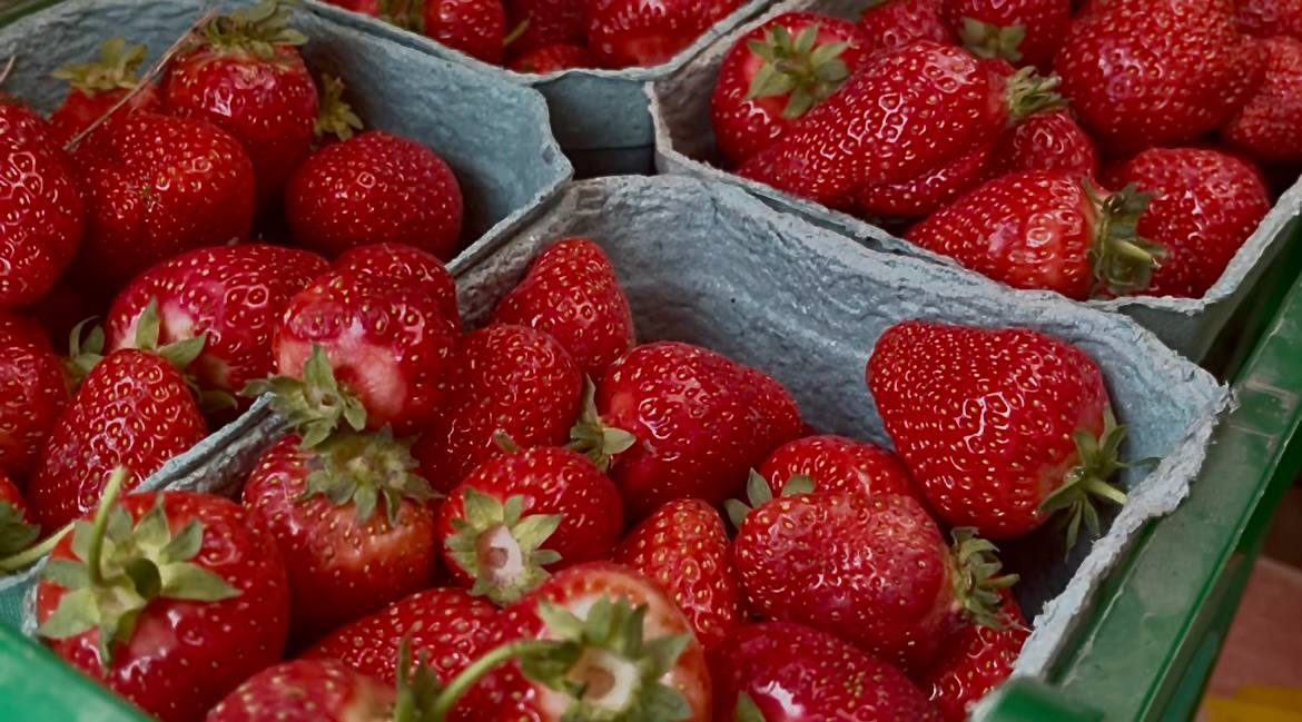 Клубнику ниже рыночной стоимости можно будет купить на «Празднике урожая» в Ленинском округе