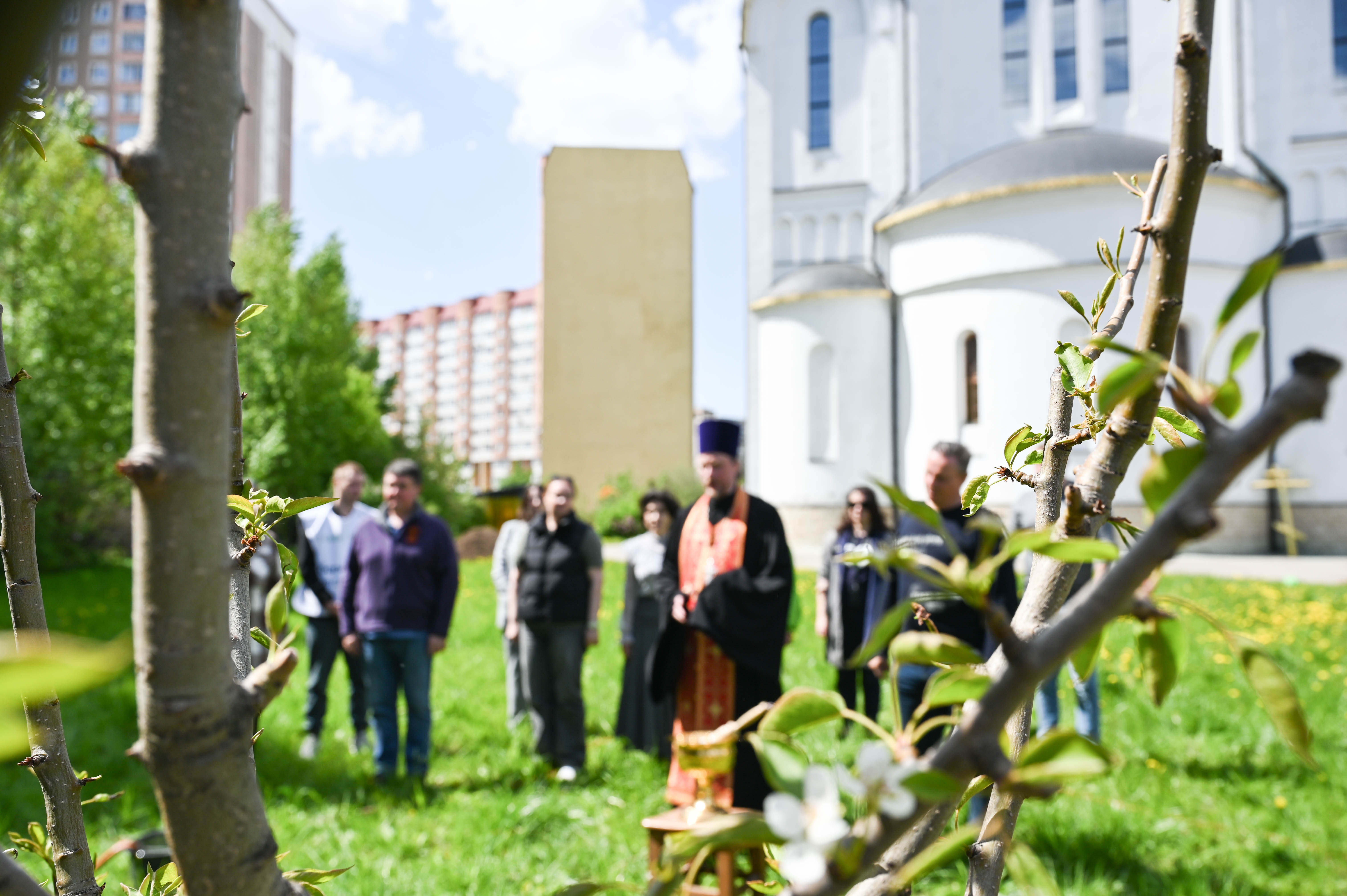 Аллею в честь 80-летия Победы высадили на территории храма в Развилке