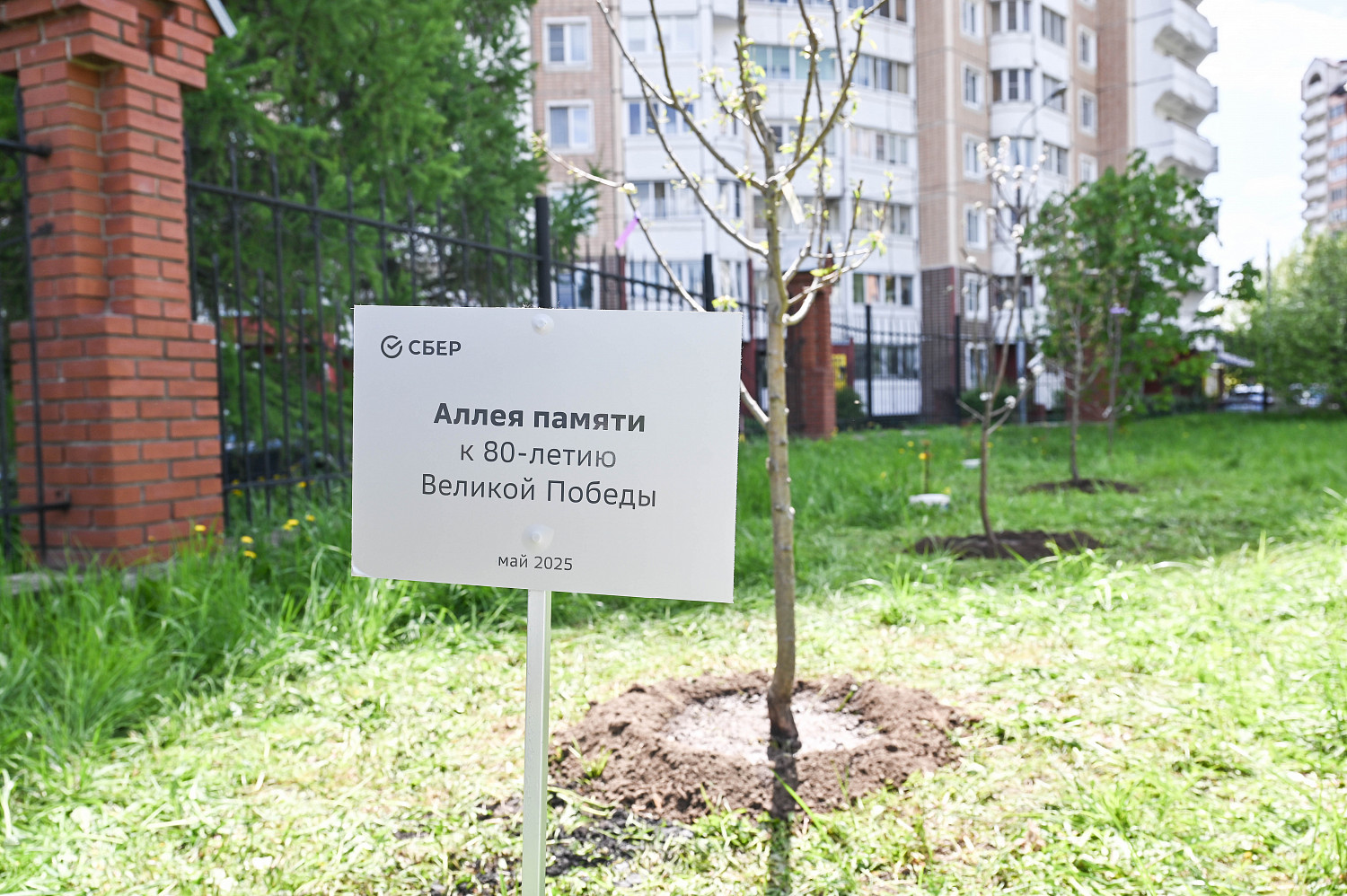Аллею в честь 80-летия Победы высадили на территории храма в Развилке