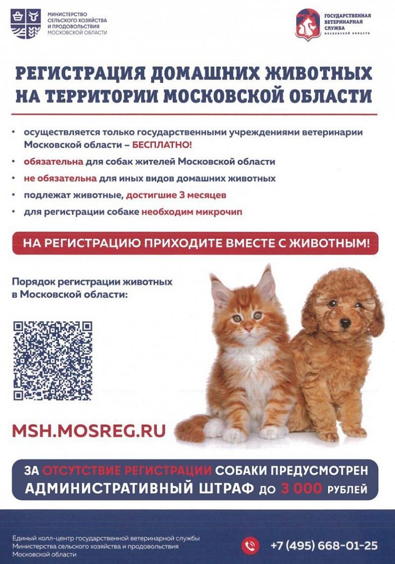 Выездное мероприятие по чипированию, регистрации и вакцинации домашних животных