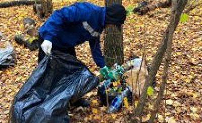 В Ленинском округе провели субботник в лесном массиве по просьбам жителей